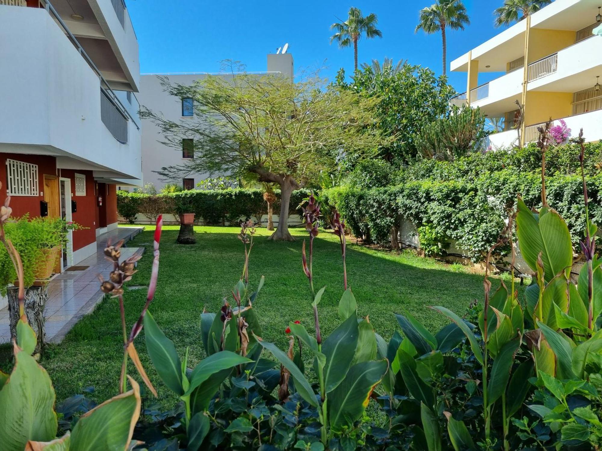 Apartment With Sea View Close To Dunes Of Playa Del Ingles San Bartolomé Ngoại thất bức ảnh